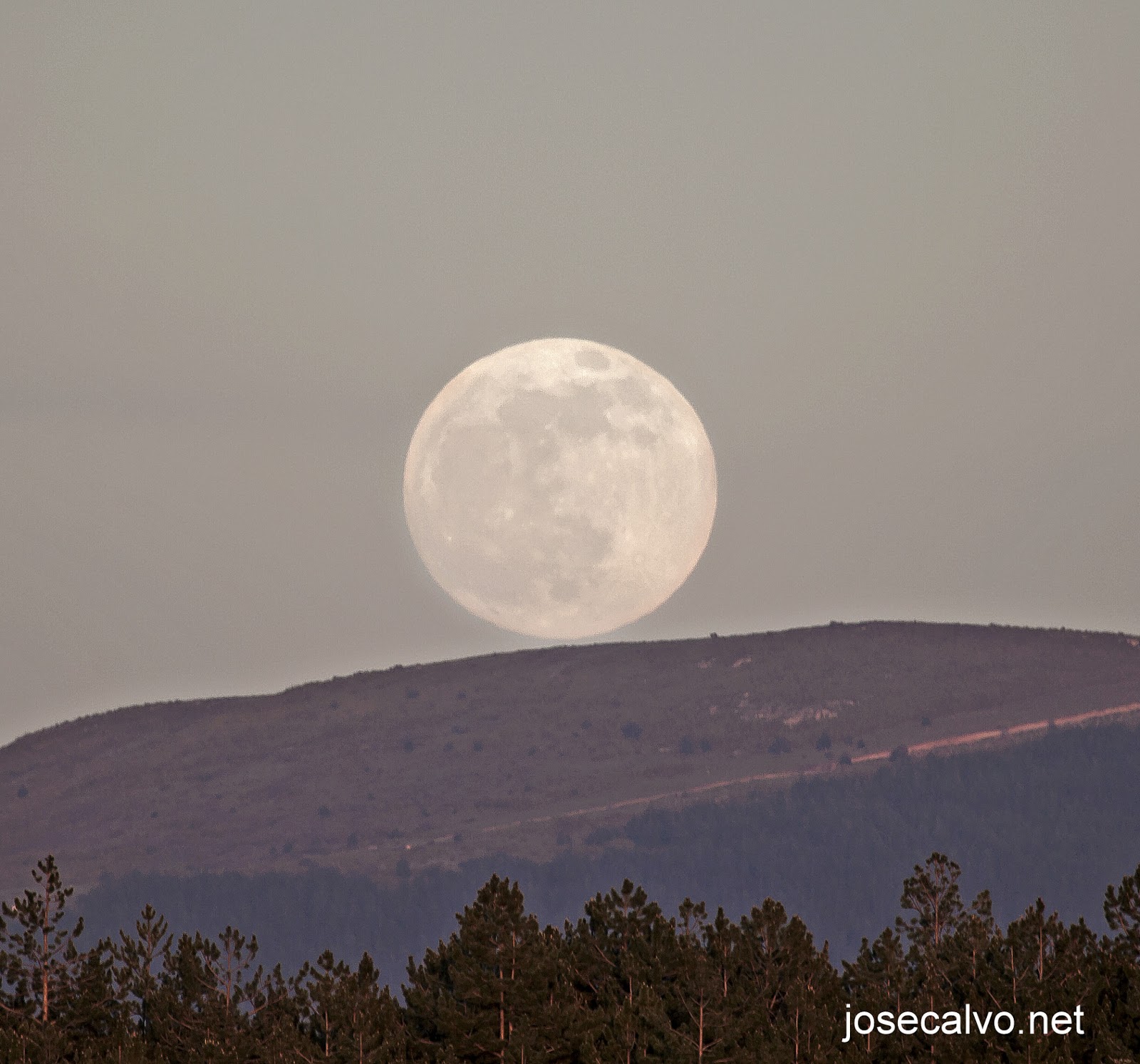 METEOSOJUELA. " Tu tiempo en el momento" LUNA LLENA