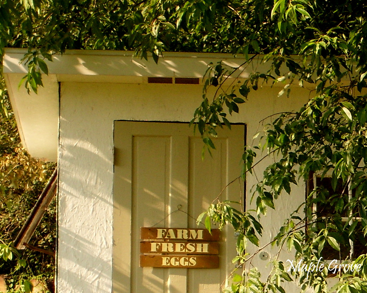 Maple Grove Vintage Hen House Design