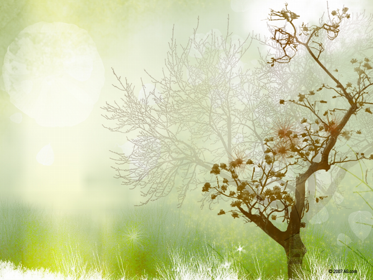 Natural Green Wallpaper | Top HD Wallpapers