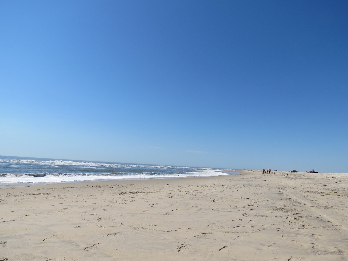 Viewing nature with Eileen Chincoteague Island NWR