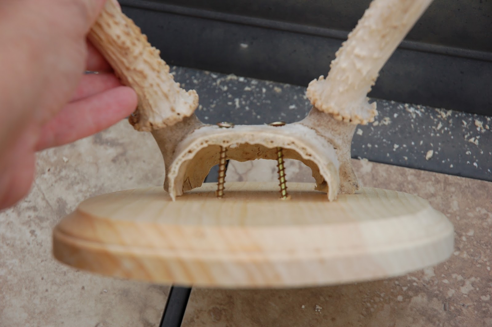 restlessrisa How to Mount Antlers