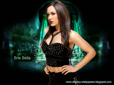 WWE Brie Bella Wallpapers