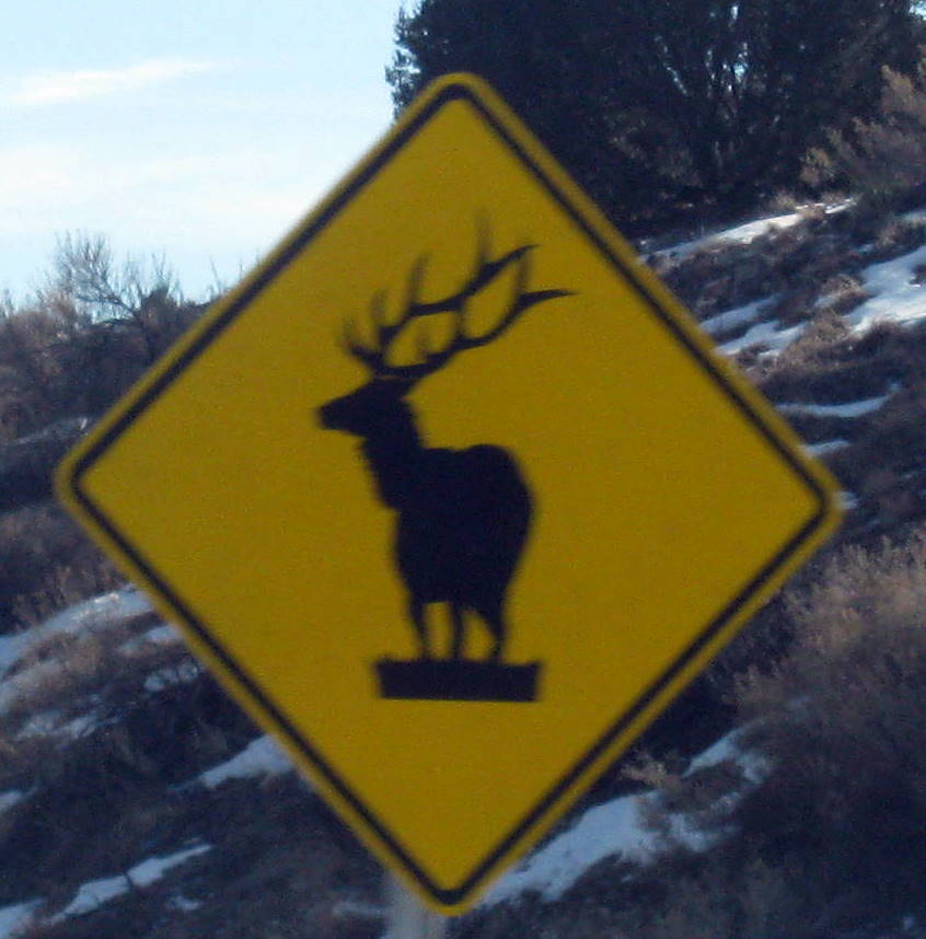 animal crossing signs everywhere