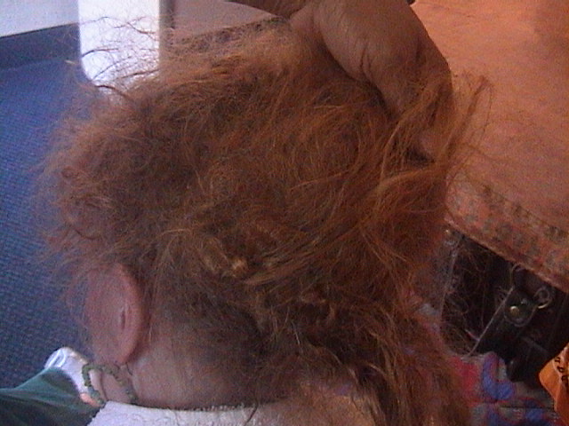 Tangled Hair Techs: 1 Year Matted Tangled Mess-Literally ...