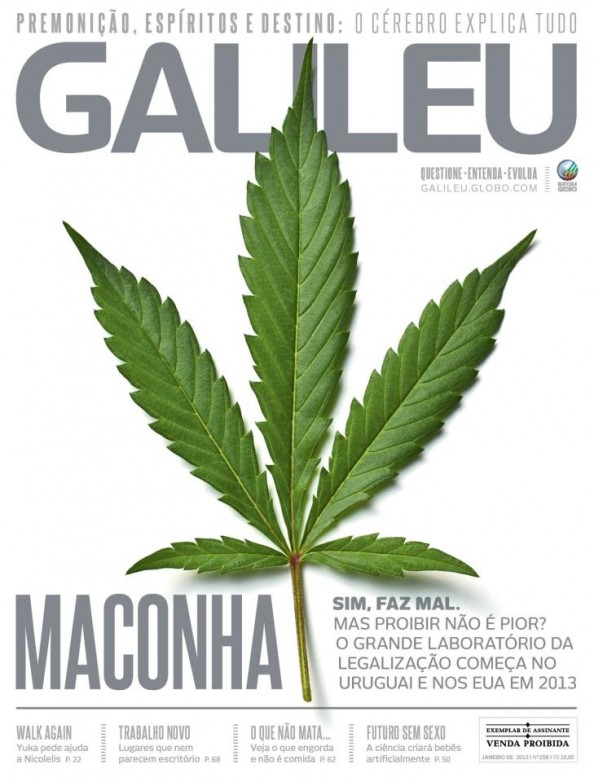 O deputado e o ursinho maconheiro