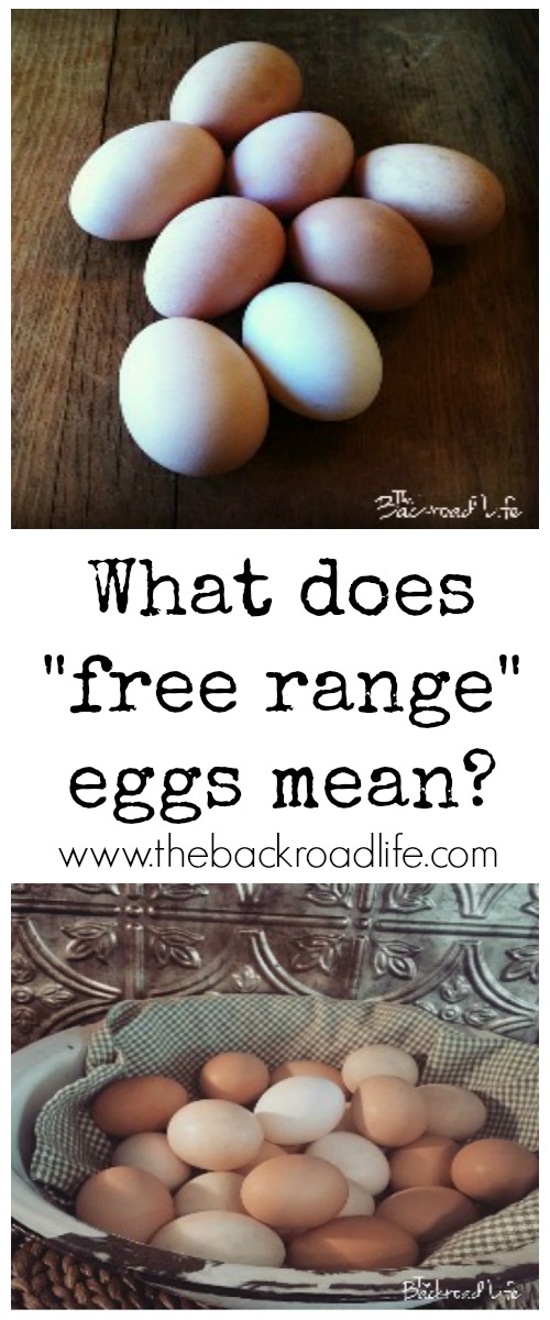 The Backroad Life What does "free range" eggs mean?