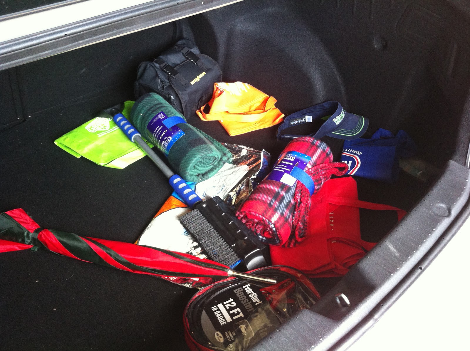 Hayley Daily Too Much Junk in the Trunk Organizing the Car