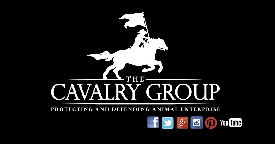 The Cavalry Group