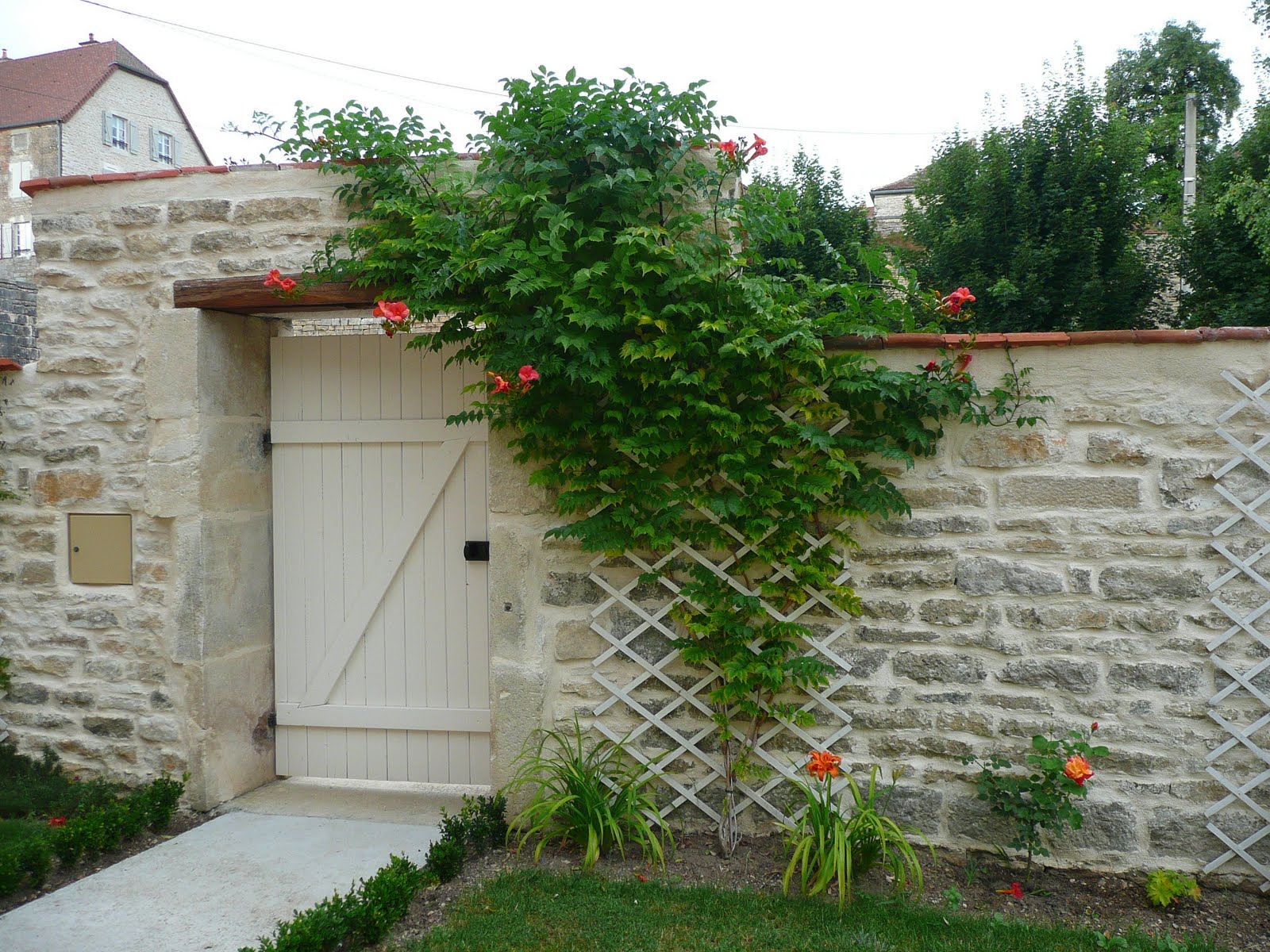 la magie du ruisseau rencontre avec le peuple de l eau