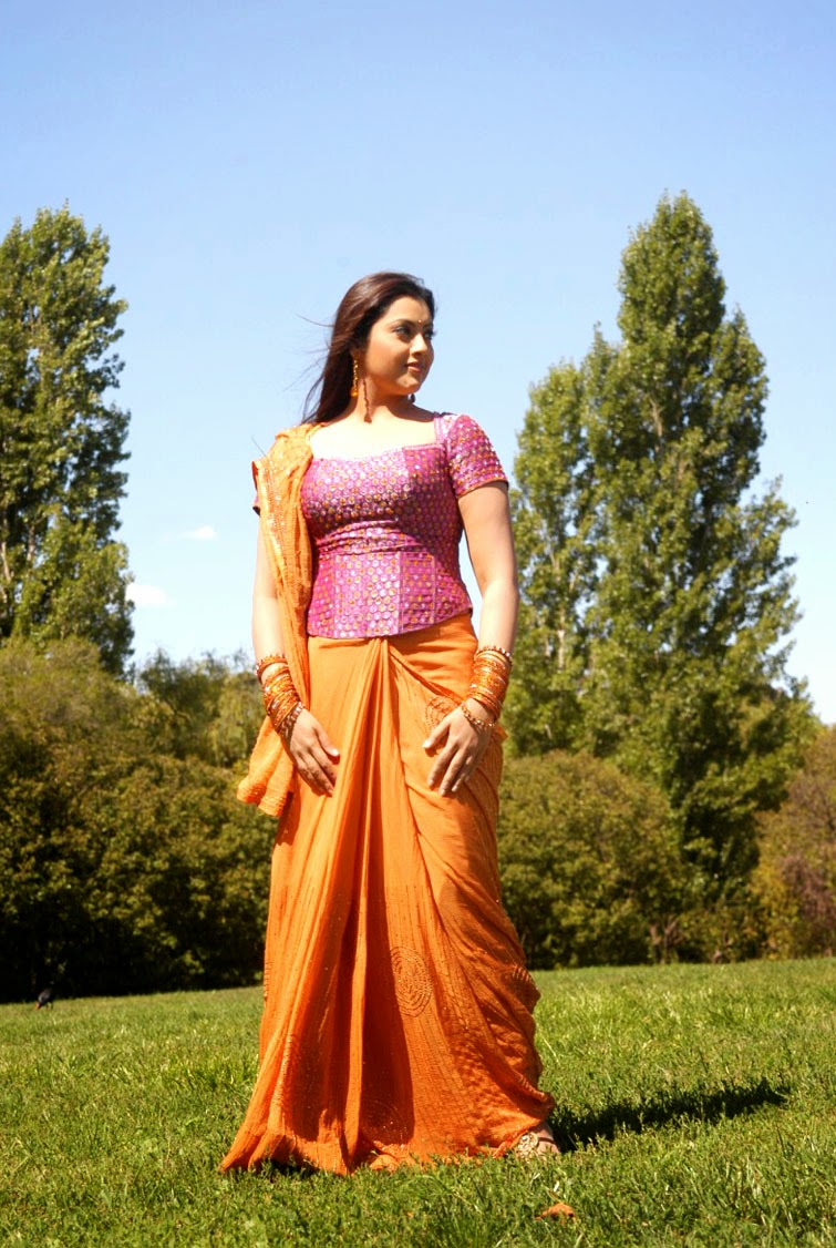 Meena South Actress Hot Navel Pics | Wallpaper OK