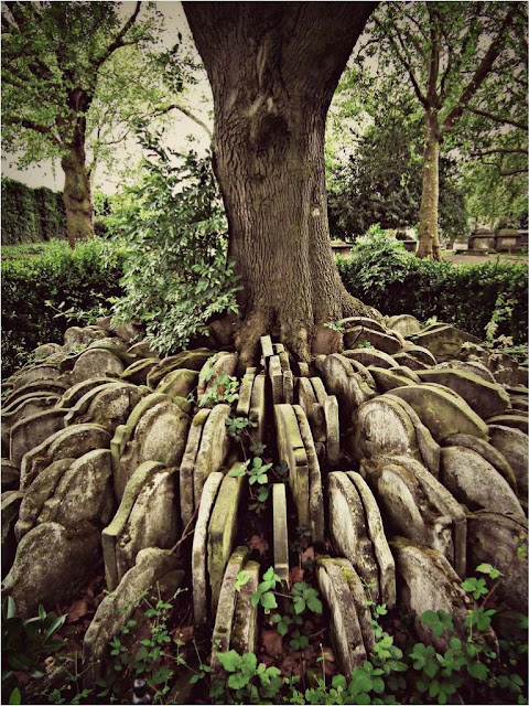 Misteri Pohon Dengan Ratusan Batu Nisan Dibawahnya [ www.BlogApaAja.com ]