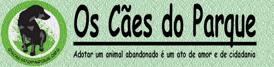 [OS CÃES DO PARQUE]