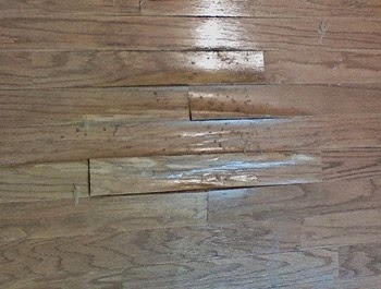 Flooring Fanatic To Steam Or Not To Steam