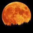 Hunter's Harvest Moon