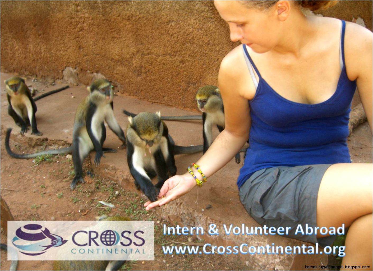 Wildlife Volunteer Amazing Wallpapers Wildlife Volunteer Amazing Wallpapers