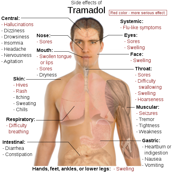 Weight loss side effects tramadol