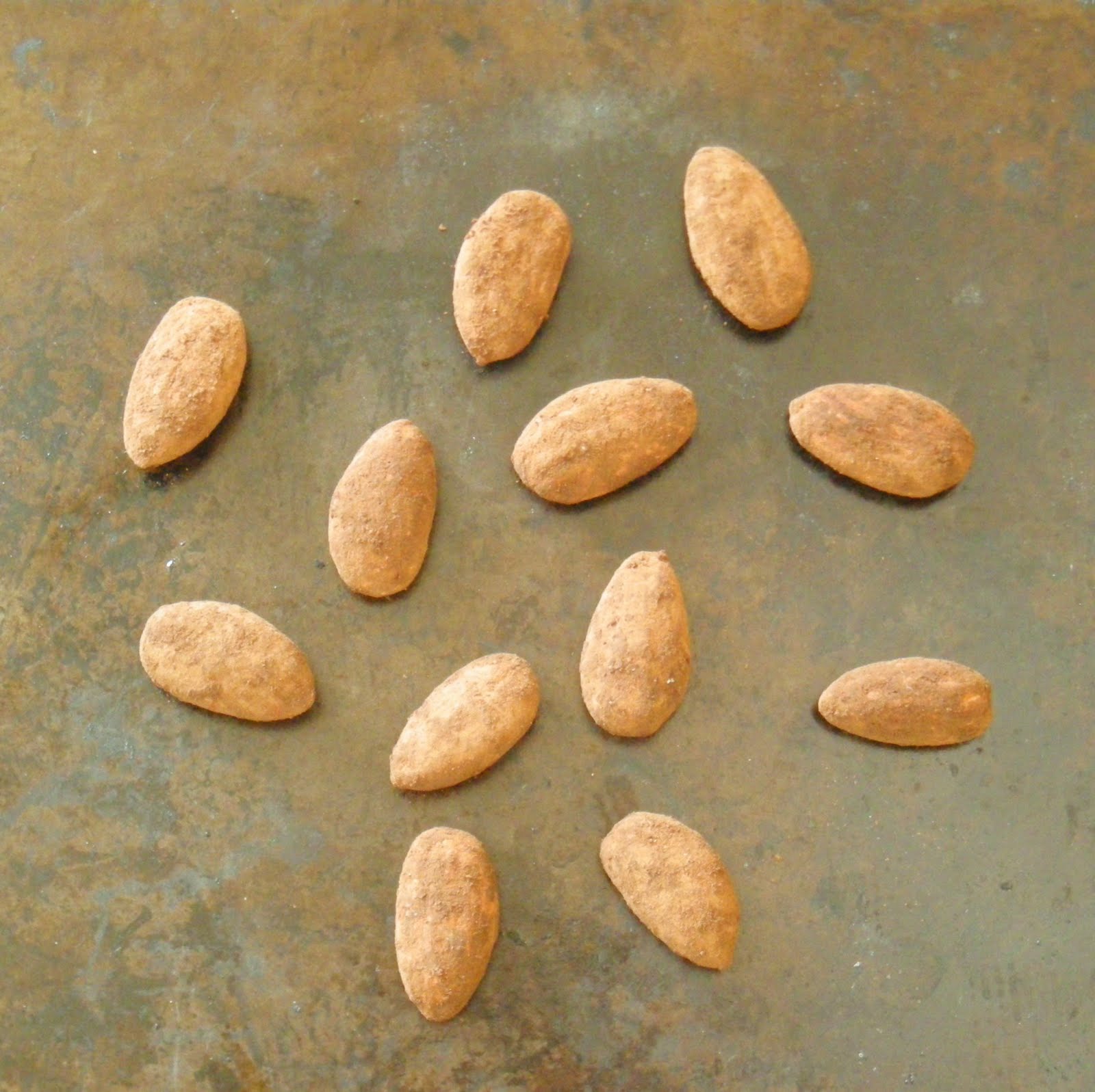 CollegeBakerGirl Cocoa Roasted Almonds