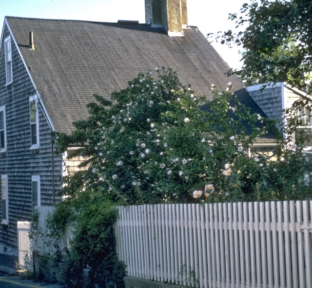 Home Shabby Chyc: EL ESTILO NANTUCKET