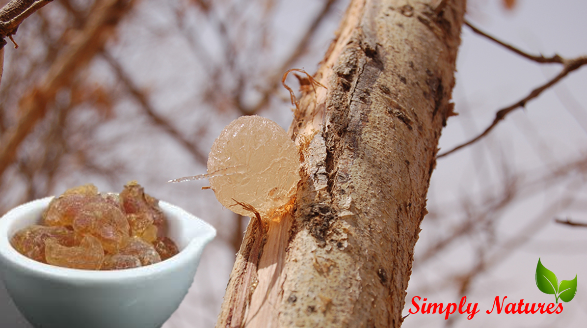 Gum Arabic for Weight Loss