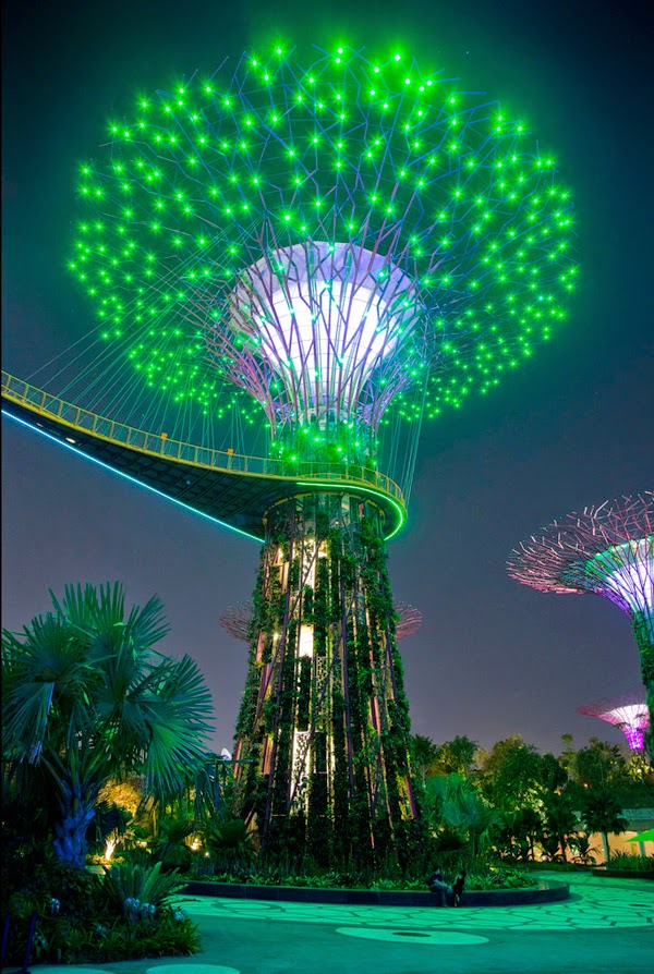 Supertree Gardens by The Bay, Singapore