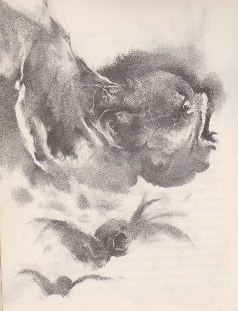 1000+ images about ARTIST STEPHEN GAMMELL on Pinterest