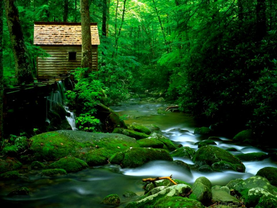 November 2013 Part 29 November 2013 Part 29