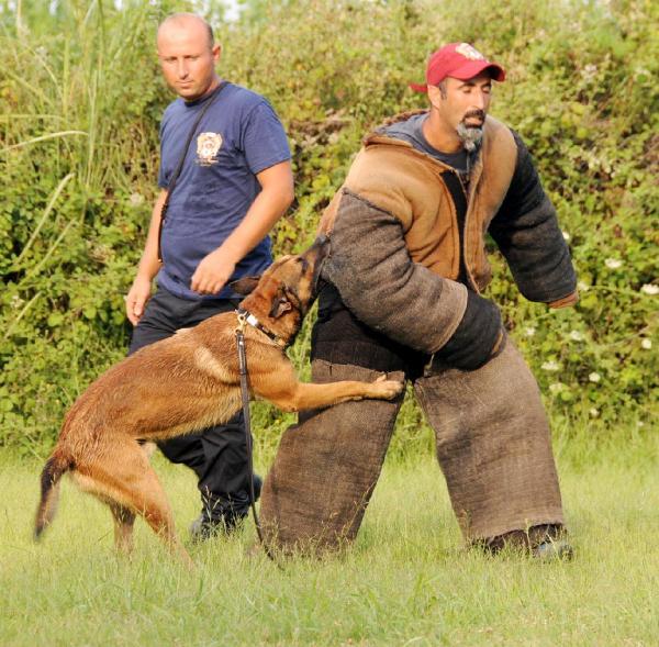 BEKCİ VE KORUMA KÖPEK�İ EĞİTİMİ VE SATIŞI