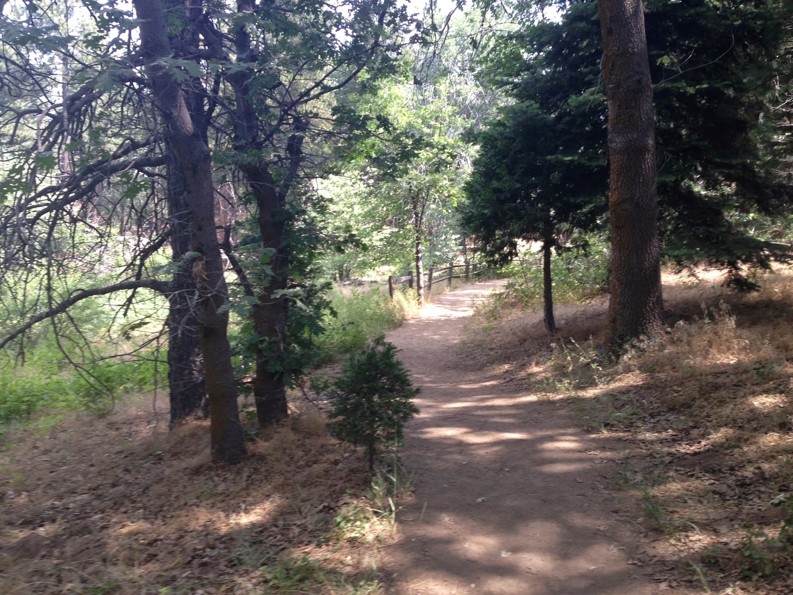 Go Hike It! Lake Arrowhead Hiking Trails Heaps Peak Arboretum