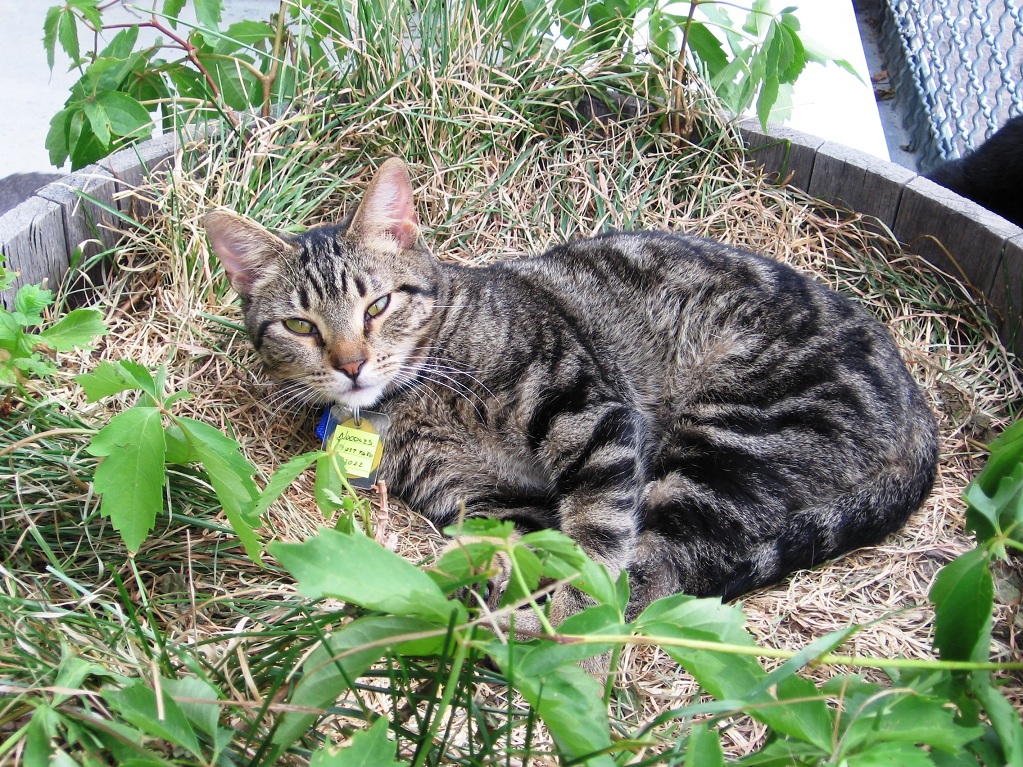 inkspired musings: Outdoors beckonings