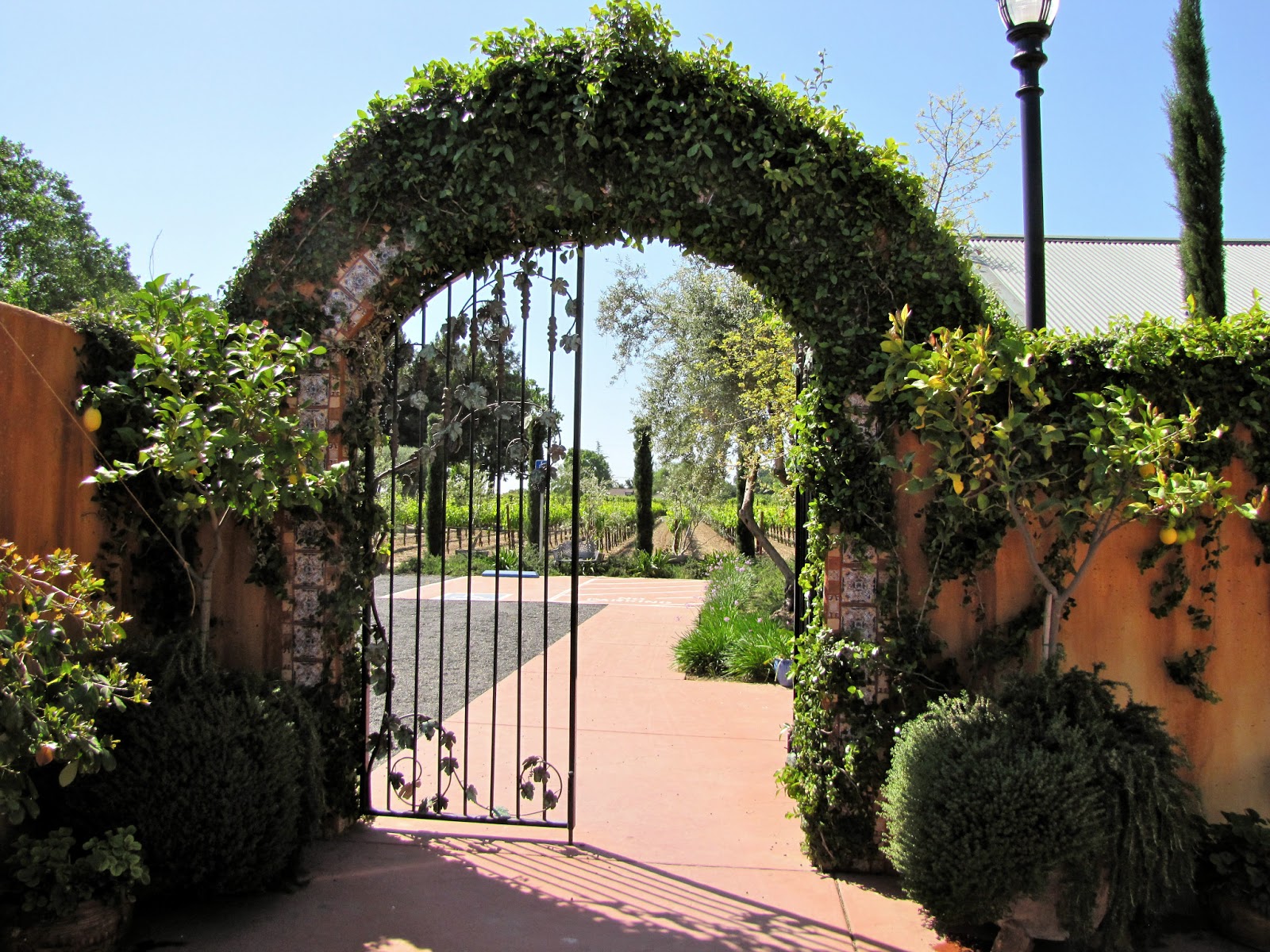 Erik Wait's Wine Country Photography St. Winery Acampo, California
