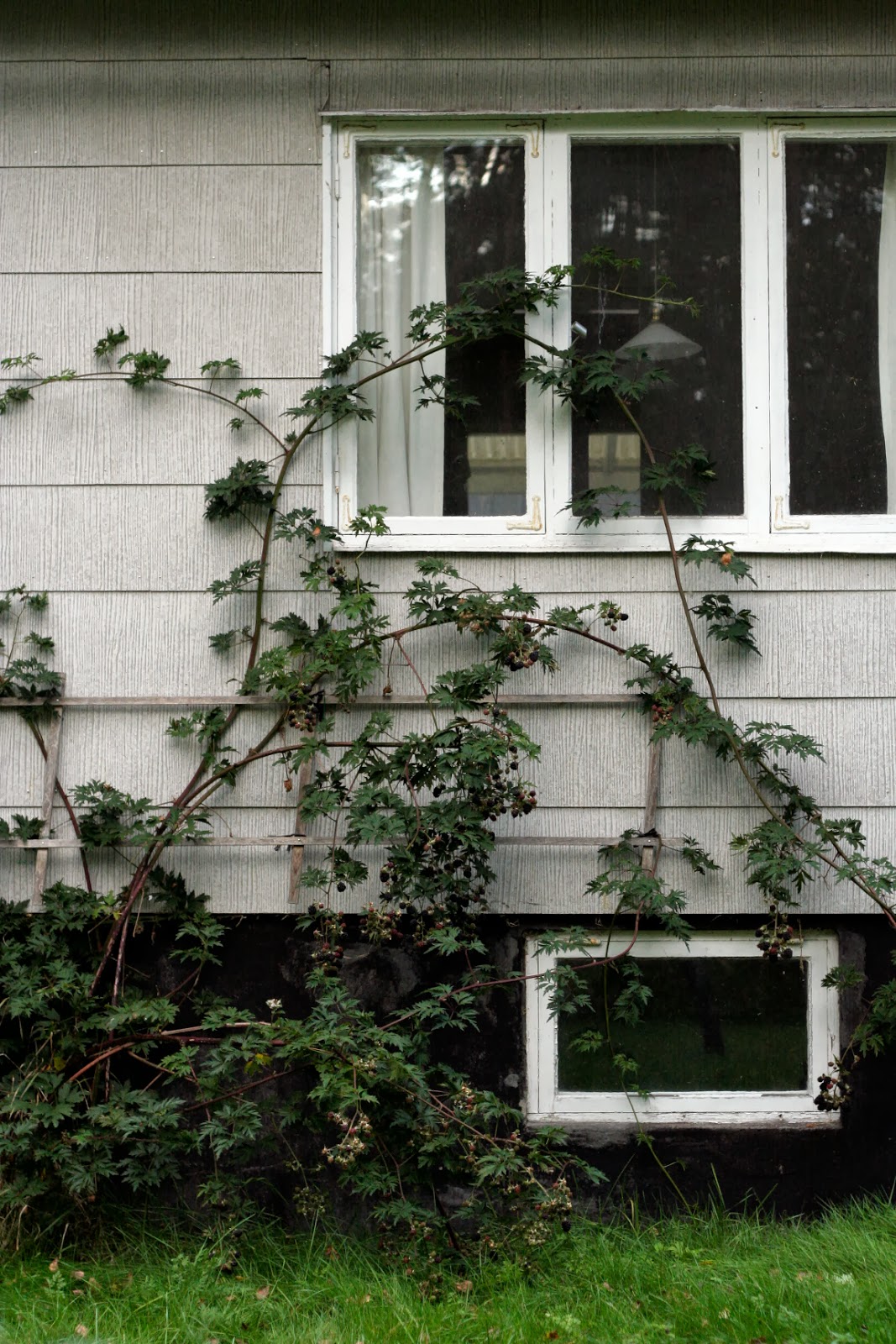 Ãarnas trädgÃ¥rdsplanering: september 2013