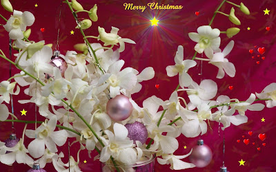 Christian Christmas Photo Greetings Cards Free online Christmas e Greetings Cards 006