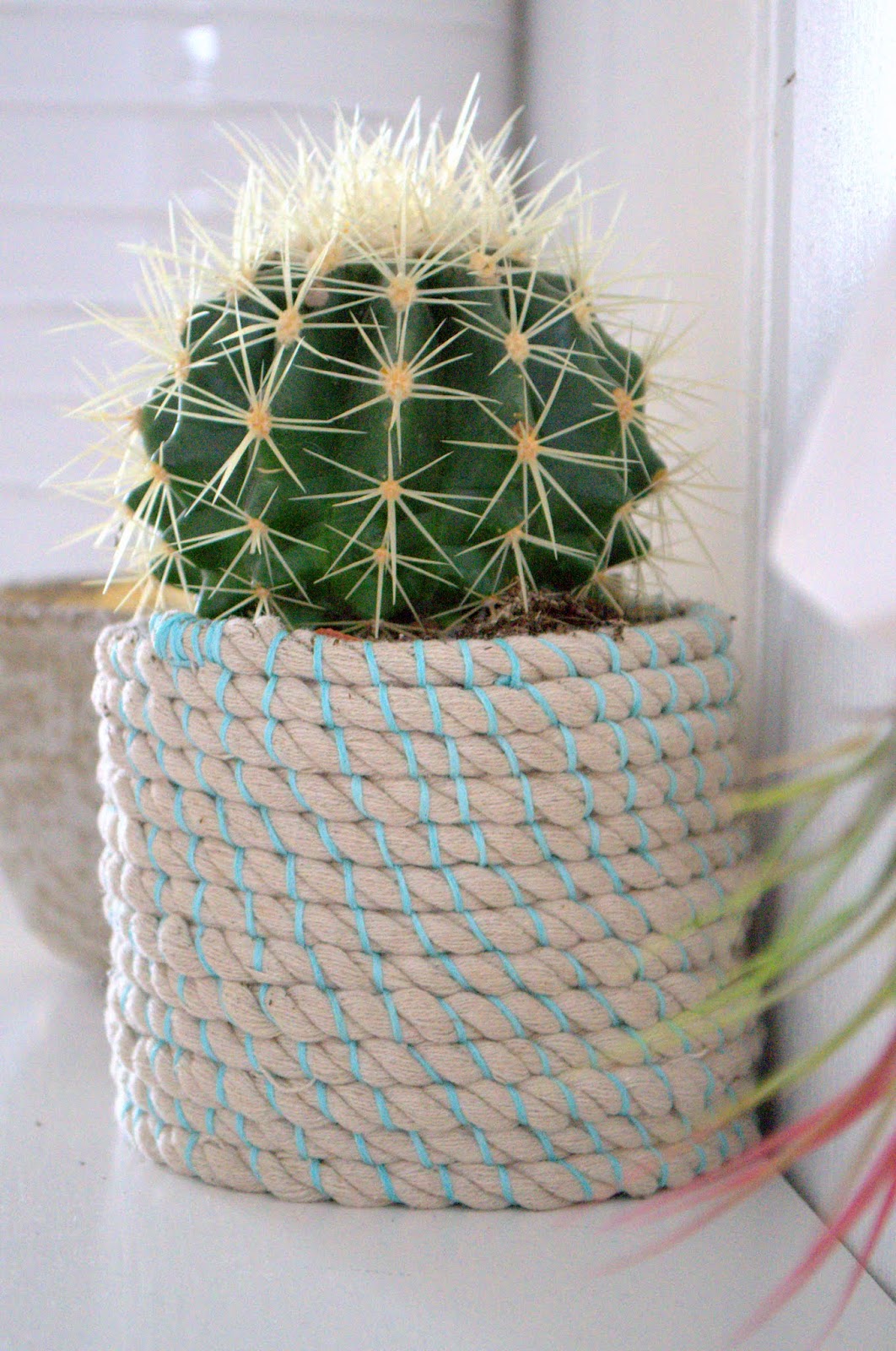 nostalgiecat DIY rope pot