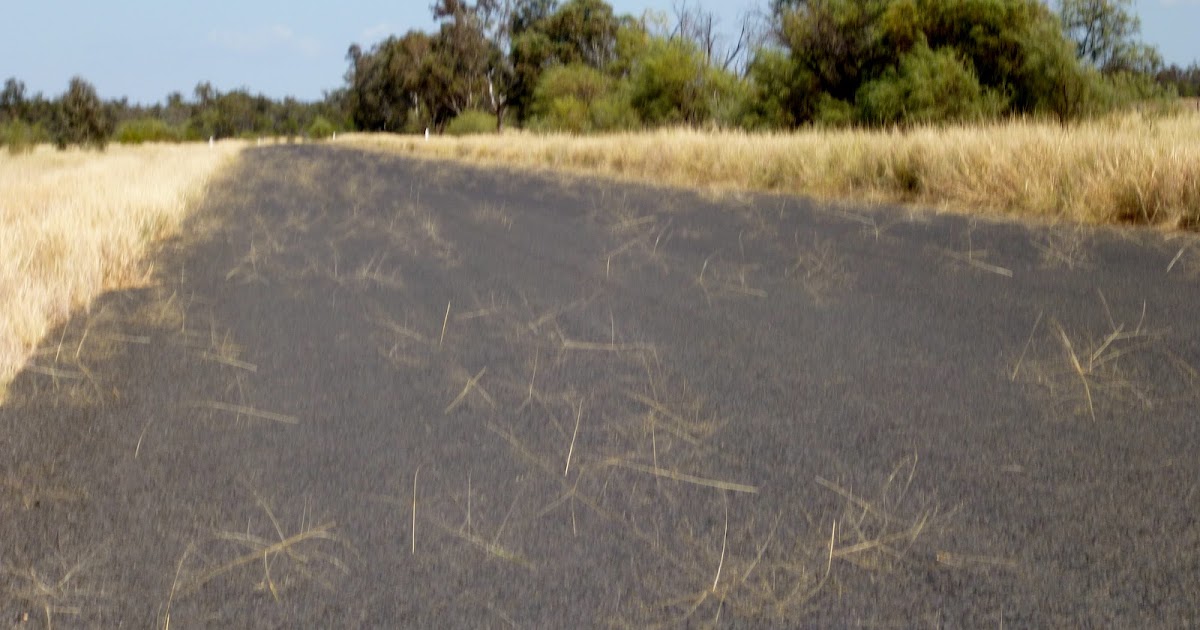 Val and Chris on tour There's more to Mungindi than meets the eye