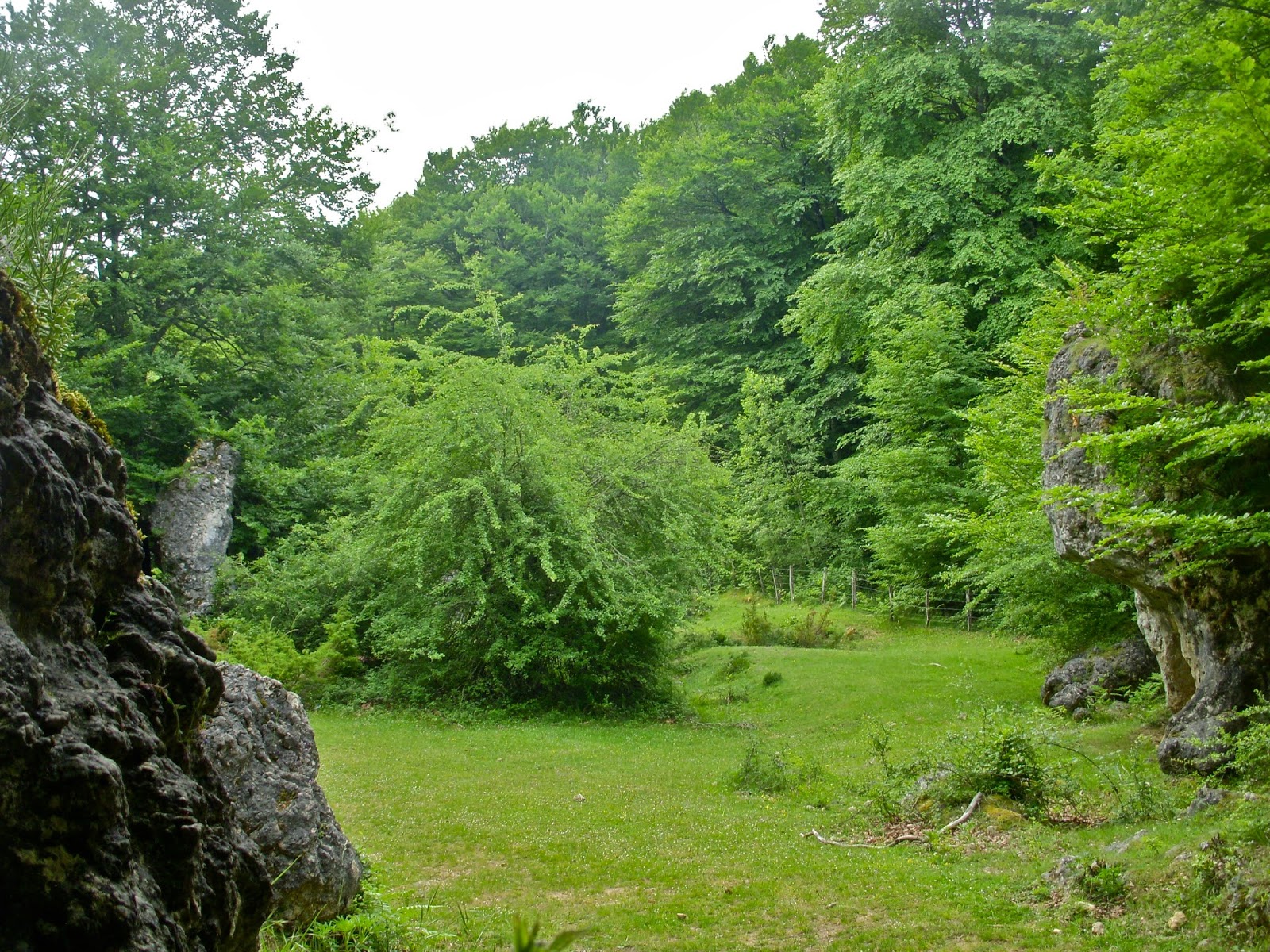 Paseos de Ikandu. Cueva de los Cristinos y bosque encantado de Artea