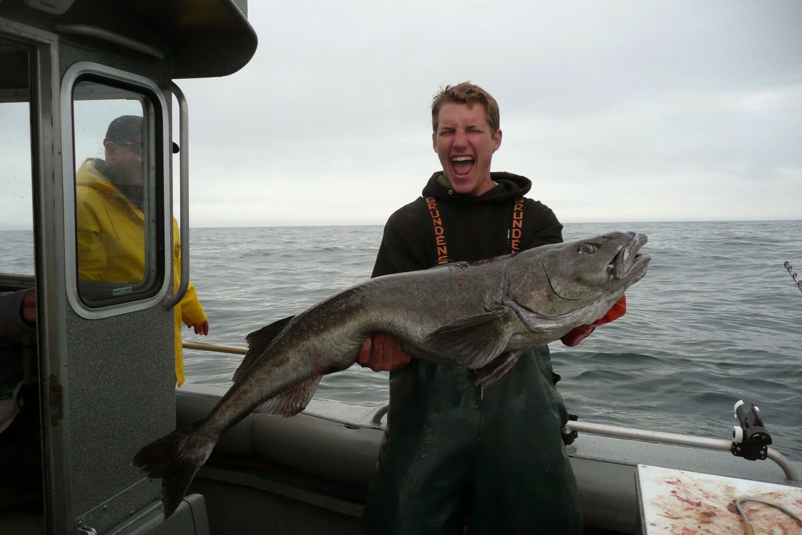 Big Fishes of the World SABLEFISH (Anoplopoma fimbria)