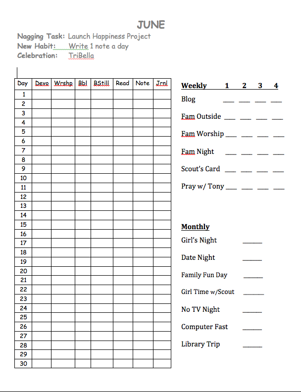 Little Adventures My Happiness Project resolutions and charts