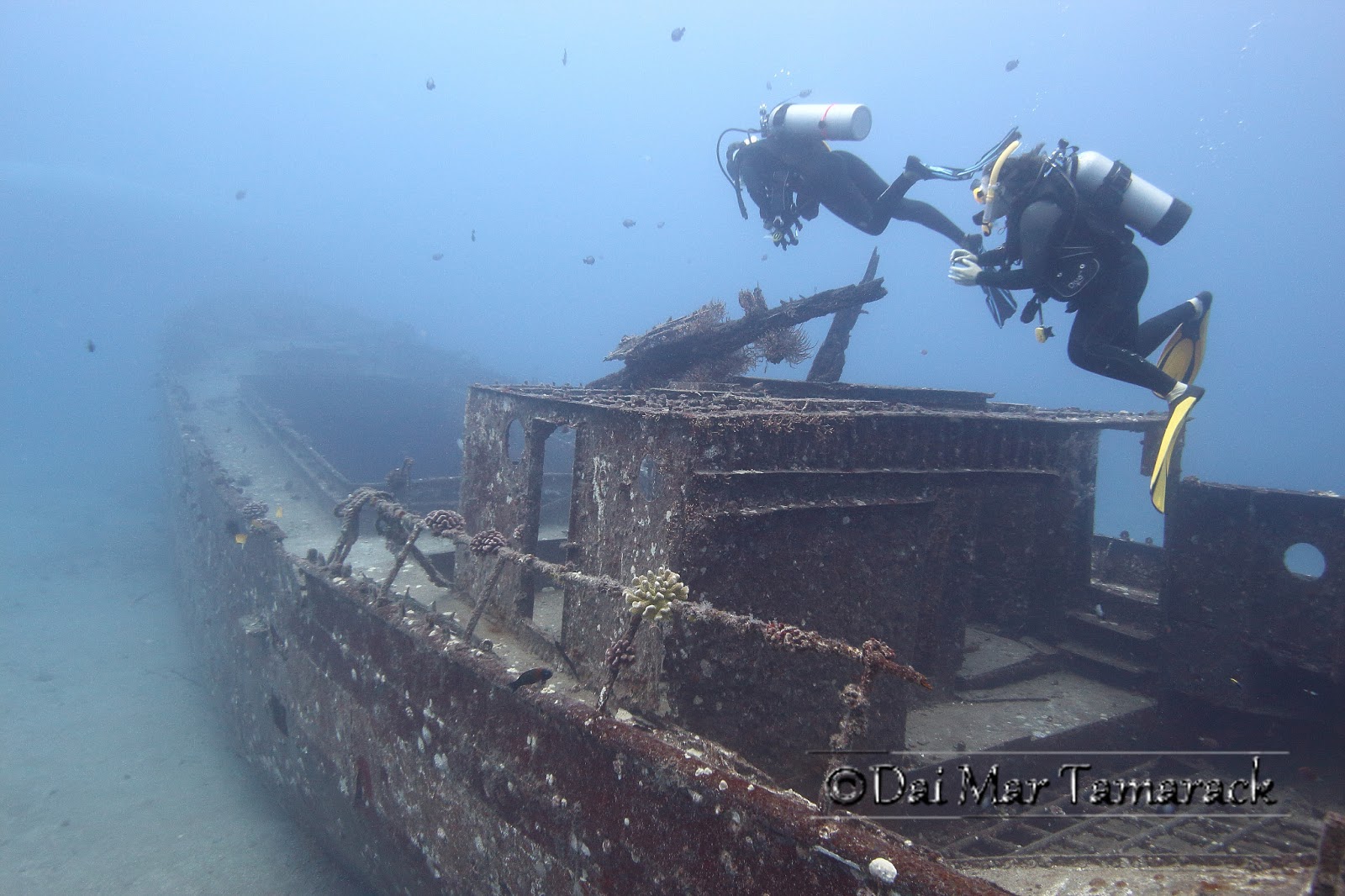 Capturing the Moment Carthaginian Wreck Dive by Kayak From Shore