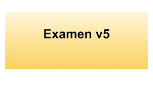 Examen V5 Amarillo