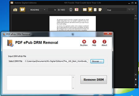 PDF ePub DRM Removal 2.5.0.181