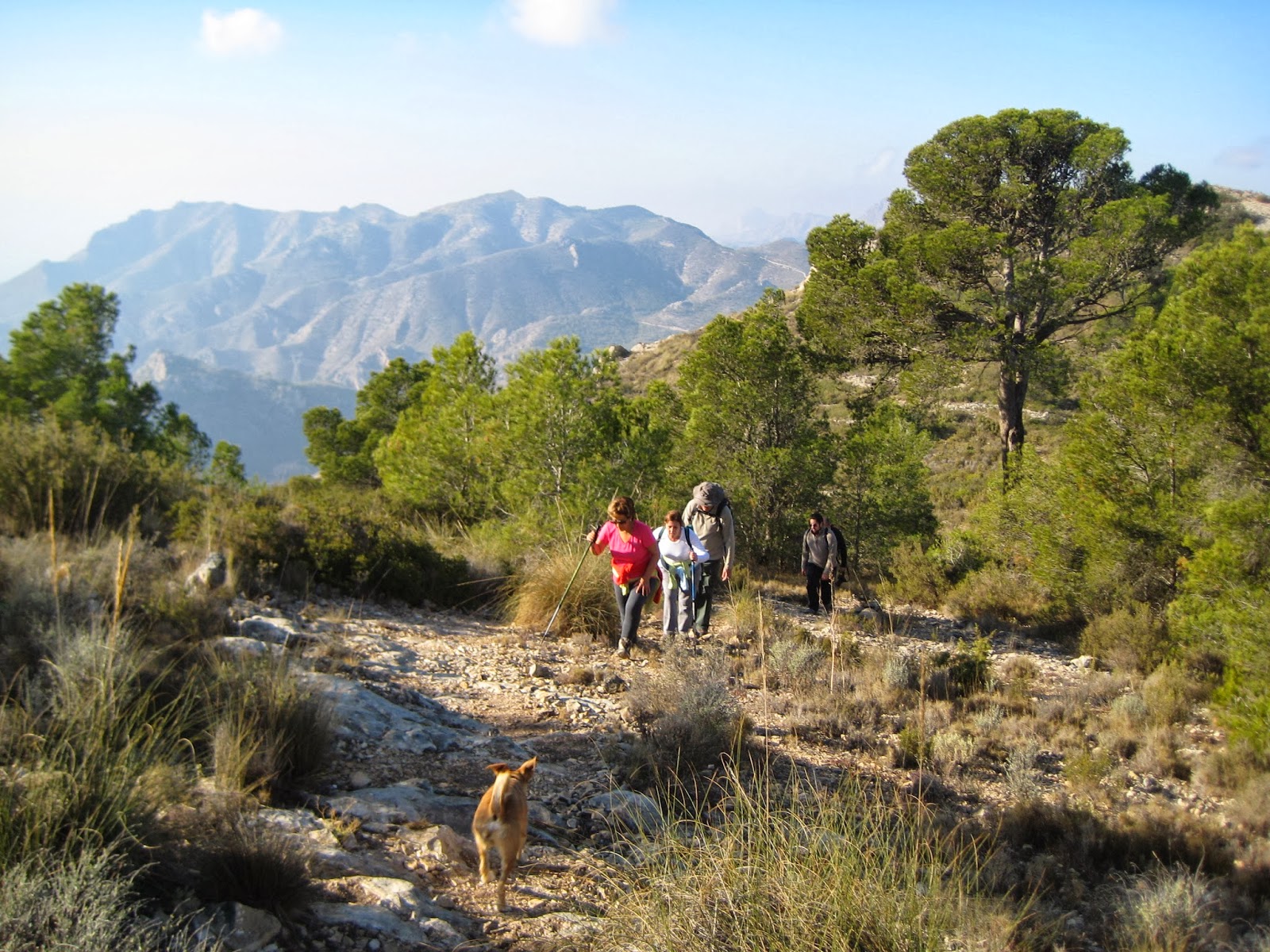 CLUB SENDERISMO LA BORIA HONDÓN DE LOS FRAILES HONDÓN DE LOS FRAILES