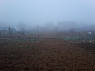 foggy morning.