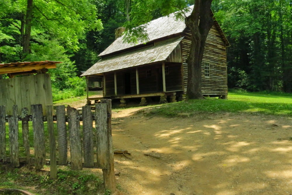 Window on Nature Cades Cove Tour