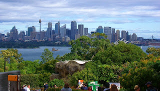 Sydney Harbour View from the Zoo