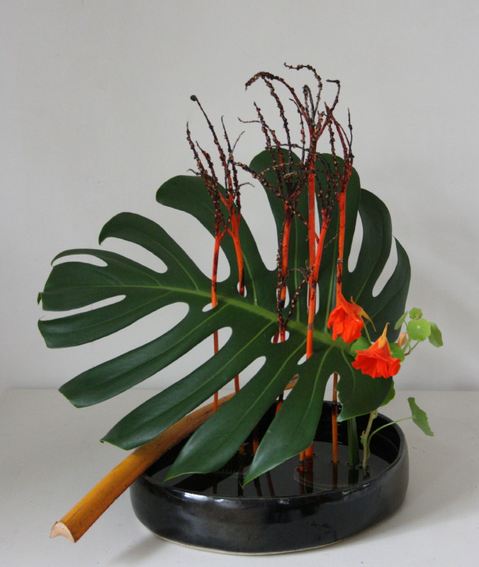 Irene, Brisbane Colours in Contrast Ikebana Gallery Award