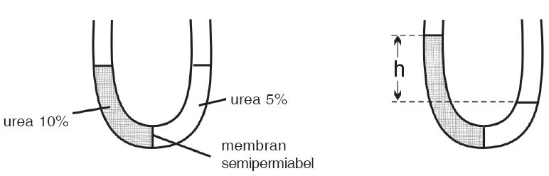 Rumus Tekanan Osmotik (π), Osmosis, Larutan Hipertonik