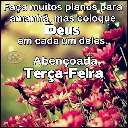 Gaivota em Ação: Que sua terça feira seja maravilhosa!