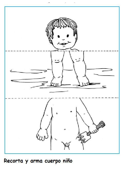 rompecabezas el cuerpo humano para niños