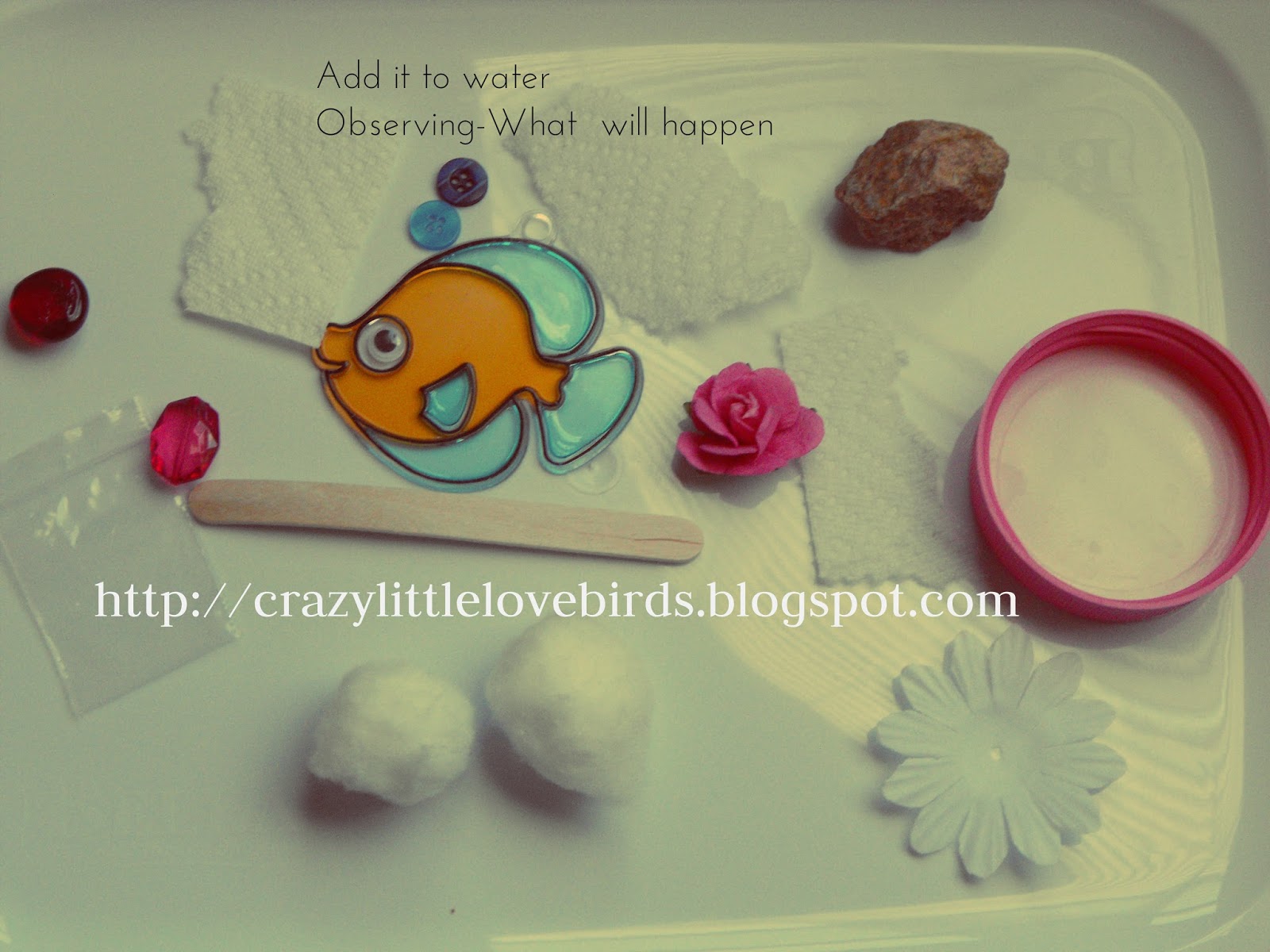 Crazylittlelovebirds Float, sink, or absorb?