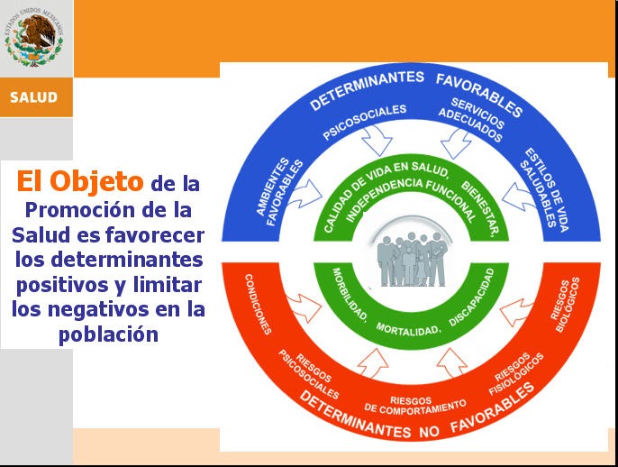 PROMOCION DE LA SALUD 2 Todo sobre promocion de la salud.